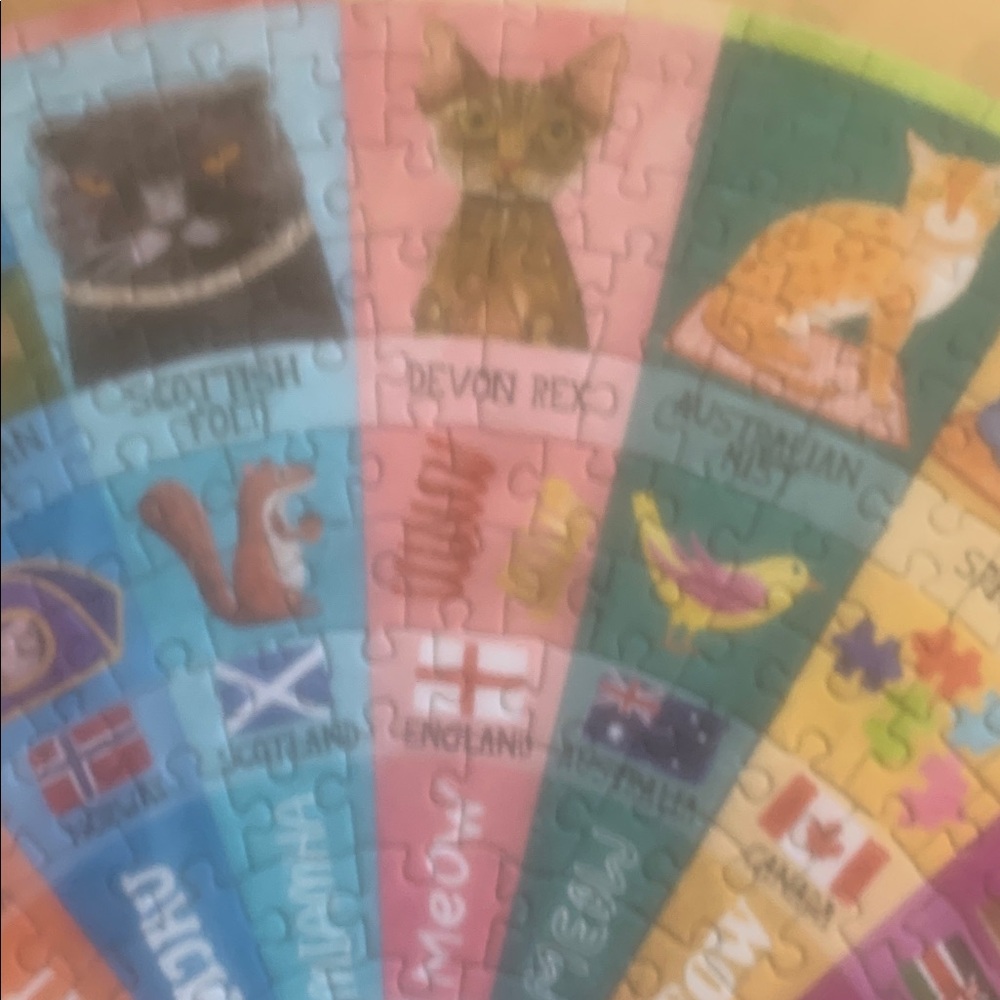 Puzzle by eeboo. 500ct. Cats of the World. - Picture 10 of 12